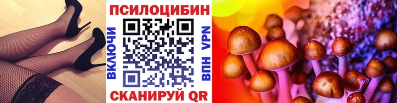 Псилоцибиновые грибы Cubensis  как найти наркотики  Тула 